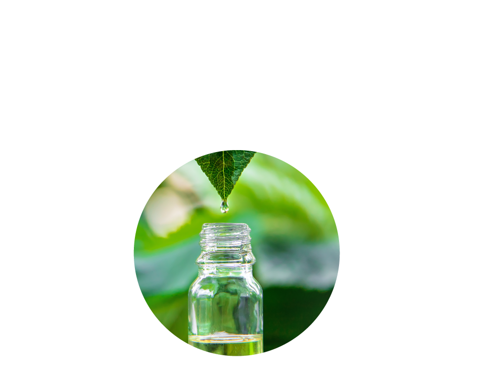 植物由来コンディショニング成分配合